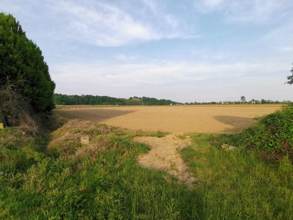 Terreno in Vendita a Vercelli di 20.000 mq mq