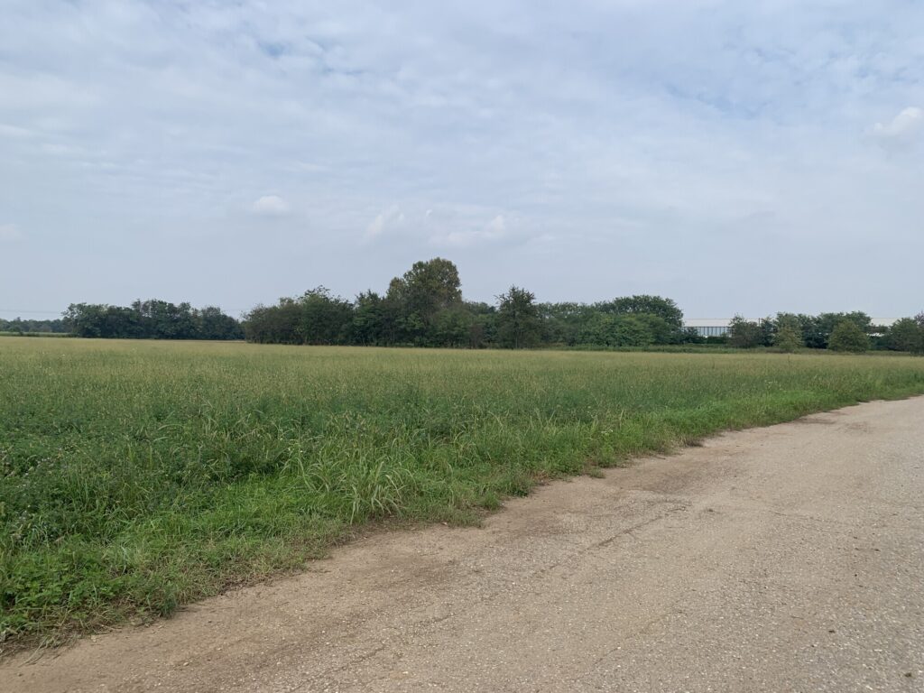 Terreno in Vendita a Inveruno di 14.500 mq mq